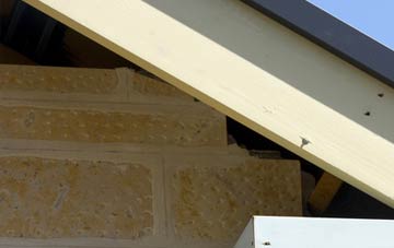 soffit repair Cadney Bank